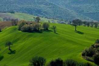 green grass field under blue sky during daytime by Mario Beducci courtesy of Unsplash.